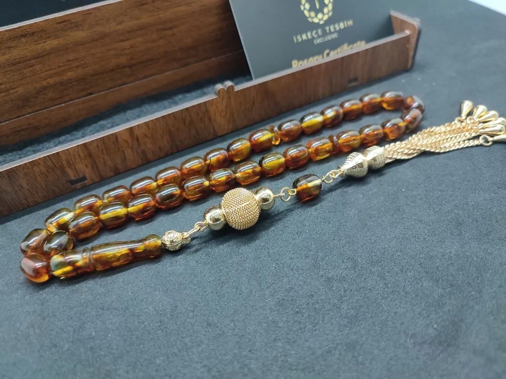 Gümüş Püsküllü 18 Gr. Yansımalı Domi̇ni̇k Fosi̇lli̇ Kaya Damla küçük resim 2