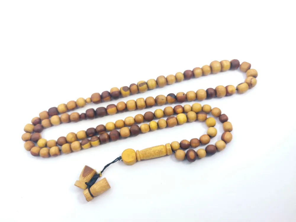 Hakan Kaya Usta Eseri̇ Kuru Torna Harnup Ağacı küçük resim 2