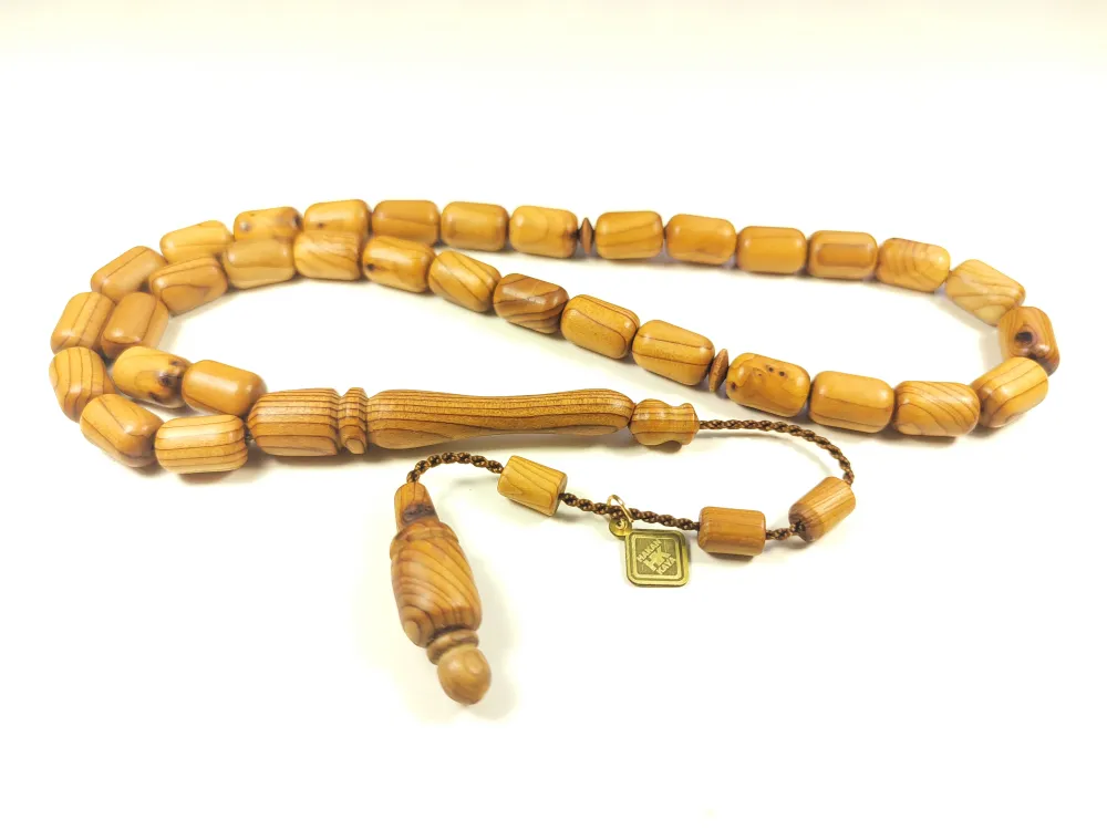 Hakan Kaya Usta Eseri̇ Acca Sellowi̇ana (Kaymak Ağacı) küçük resim 3