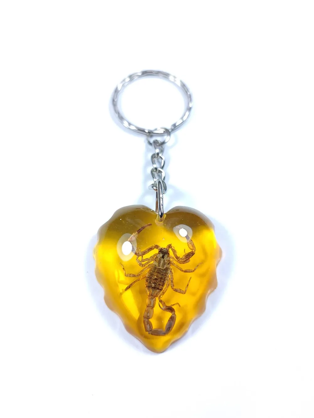 Akrep Fosi̇lli̇ Anahtarlık