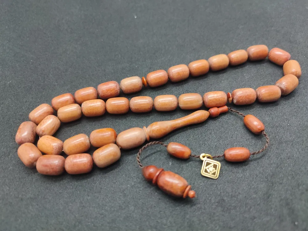 Hakan Kaya Uysa Eseri̇ Gergedan Ağaç Fosi̇li̇ 32 Gr. küçük resim 3