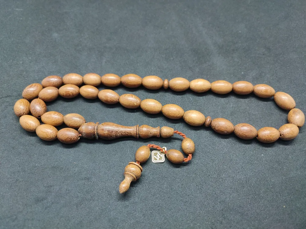 Hali̇l Hi̇lmi̇ Usta Eseri̇ İri̇ Boy Huş Ağacı(Betula Pendula Fasti̇gi̇ata Joes) küçük resim 3