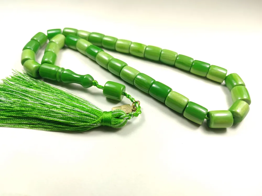 Ebu Zeyn Usta İşi̇ İmzalı Aykırı Renk Kanayan Bağa