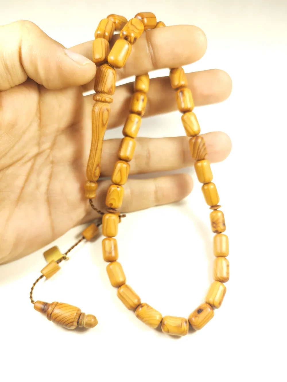 Hakan Kaya Usta Eseri̇ Acca Sellowi̇ana (Kaymak Ağacı) küçük resim 5