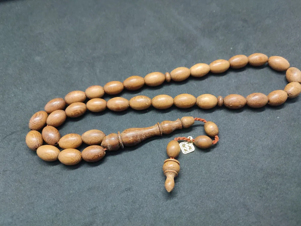 Hali̇l Hi̇lmi̇ Usta Eseri̇ İri̇ Boy Huş Ağacı(Betula Pendula Fasti̇gi̇ata Joes) küçük resim 2