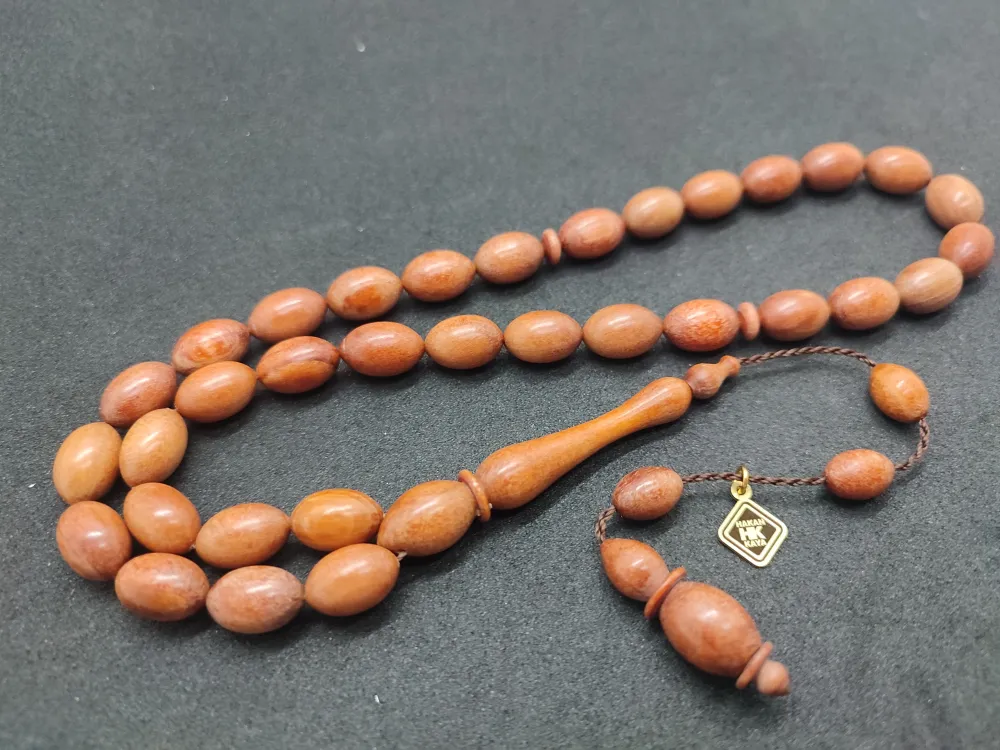 Hakan Kaya Uysa Eseri̇ Gergedan Ağaç Fosi̇li̇ 32 Gr. küçük resim 3