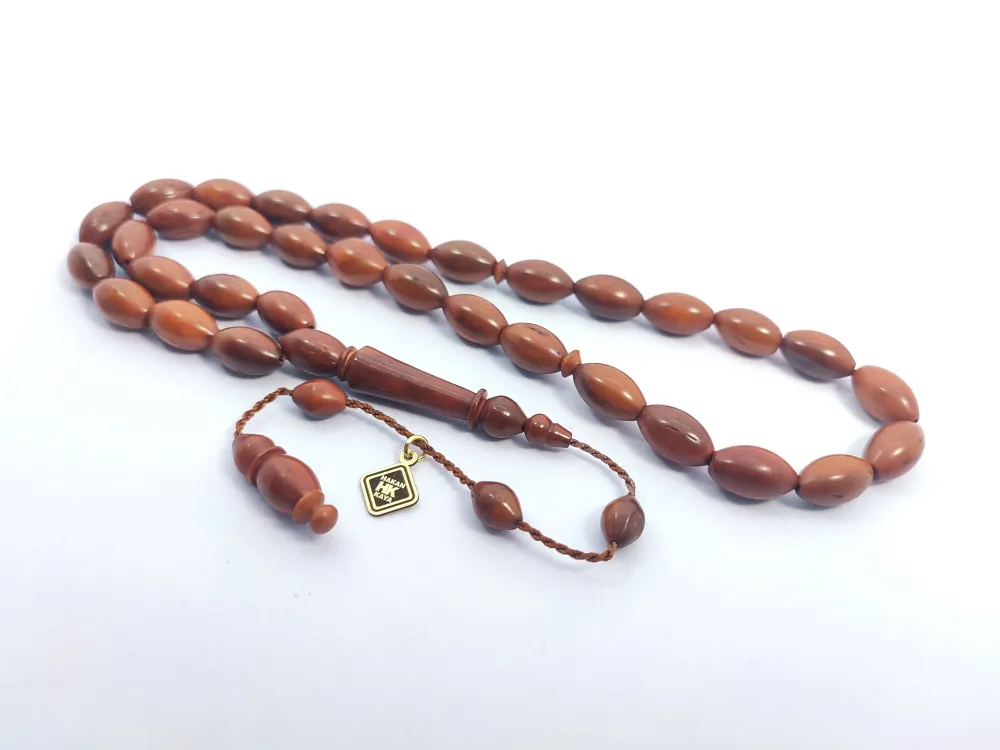 Hakan Kaya Usta Eseri̇ Kuru Torna Kan Ağacı