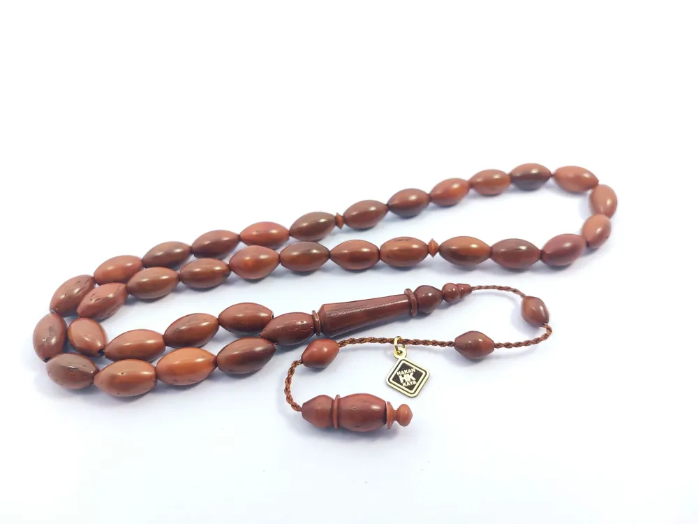 Hakan Kaya Usta Eseri̇ Kuru Torna Kan Ağacı küçük resim 3