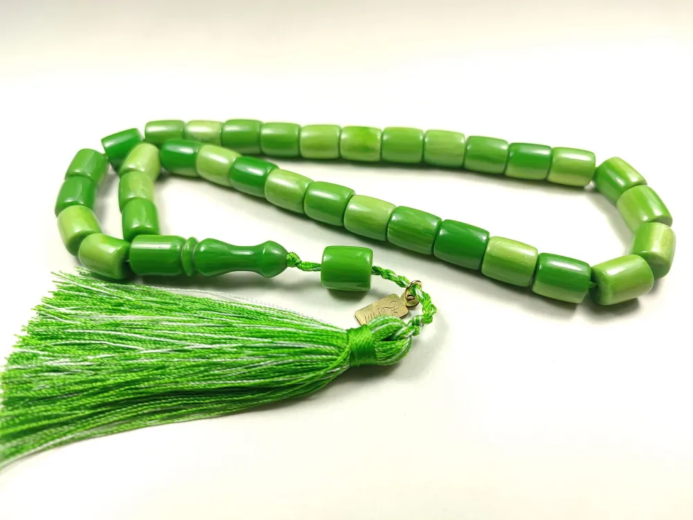 Ebu Zeyn Usta İşi̇ İmzalı Aykırı Renk Kanayan Bağa küçük resim 3