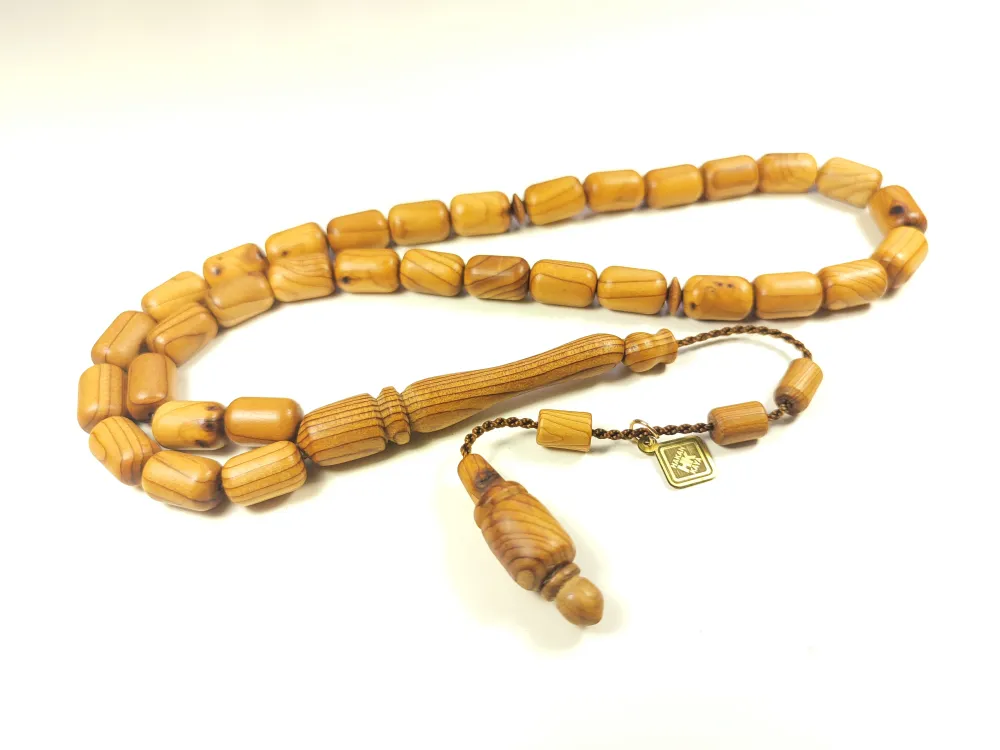 Hakan Kaya Usta Eseri̇ Acca Sellowi̇ana (Kaymak Ağacı)