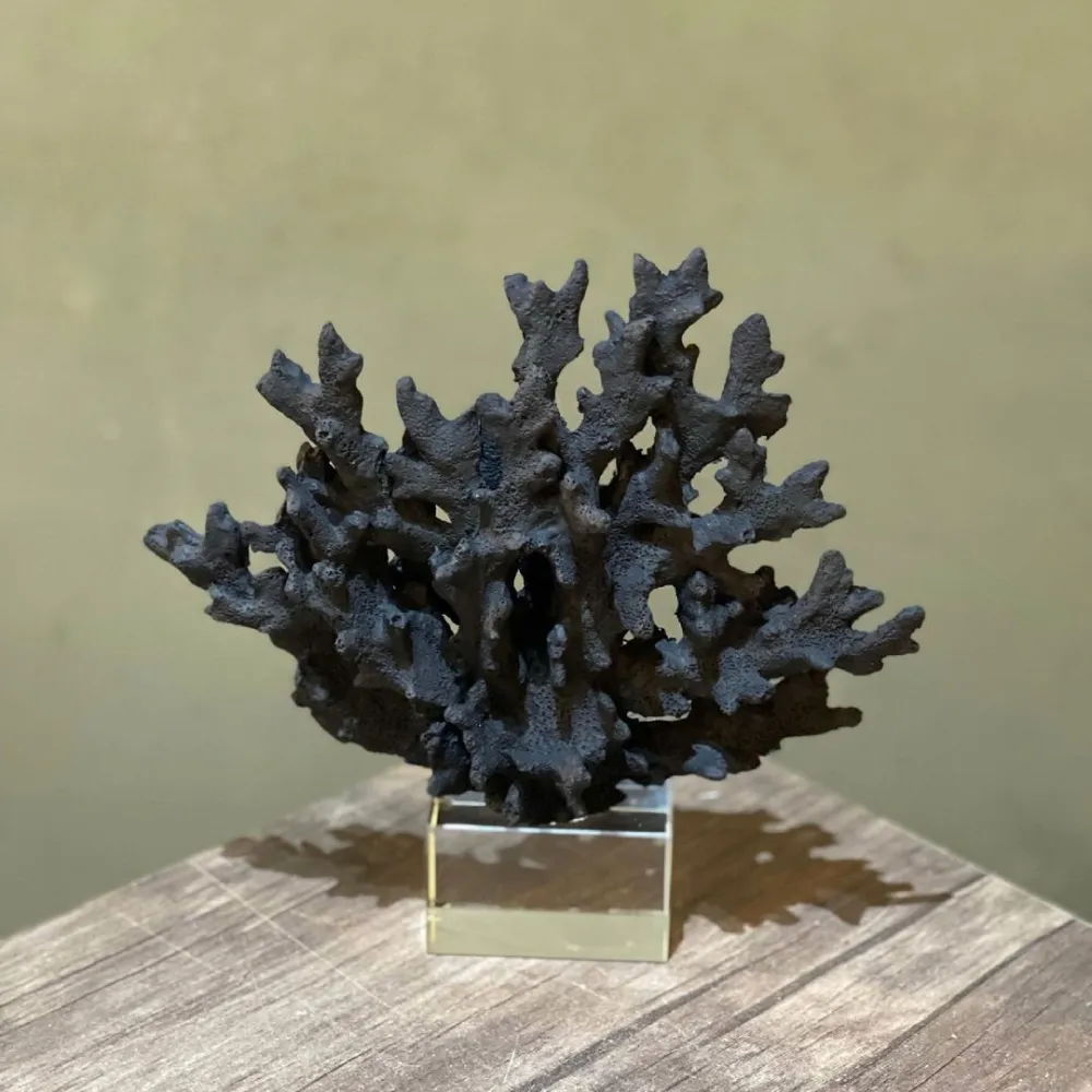 Alman Gümüş Püküllü 925 Ayar Gümüş Çakımlı Yusur (Deni̇z Mercanı) küçük resim 6