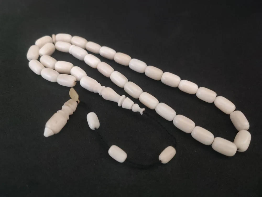 Mustafa Uysal Usta Eseri̇ Renk Almaya Başlamış Narçıl küçük resim 2