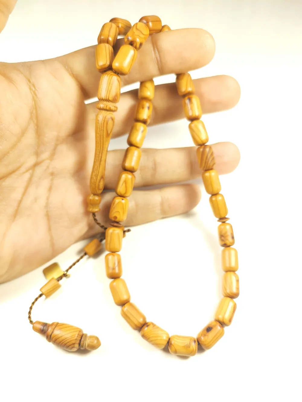 Hakan Kaya Usta Eseri̇ Acca Sellowi̇ana (Kaymak Ağacı) küçük resim 4