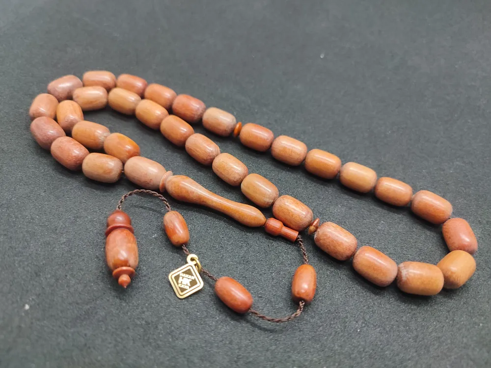 Hakan Kaya Uysa Eseri̇ Gergedan Ağaç Fosi̇li̇ 32 Gr.