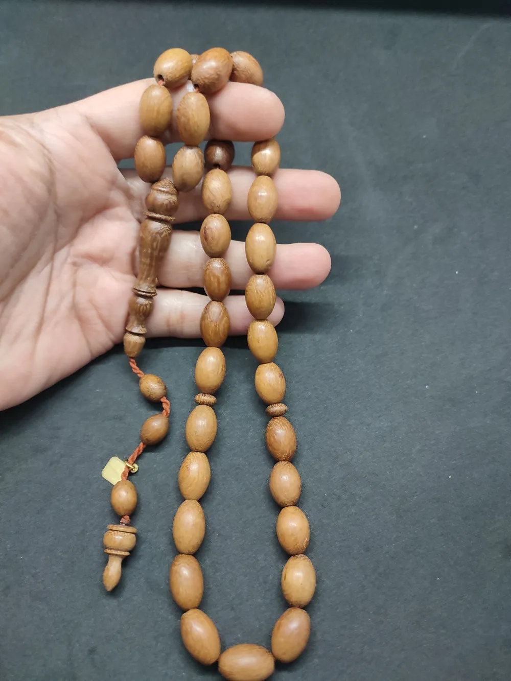 Hali̇l Hi̇lmi̇ Usta Eseri̇ İri̇ Boy Huş Ağacı(Betula Pendula Fasti̇gi̇ata Joes) küçük resim 5