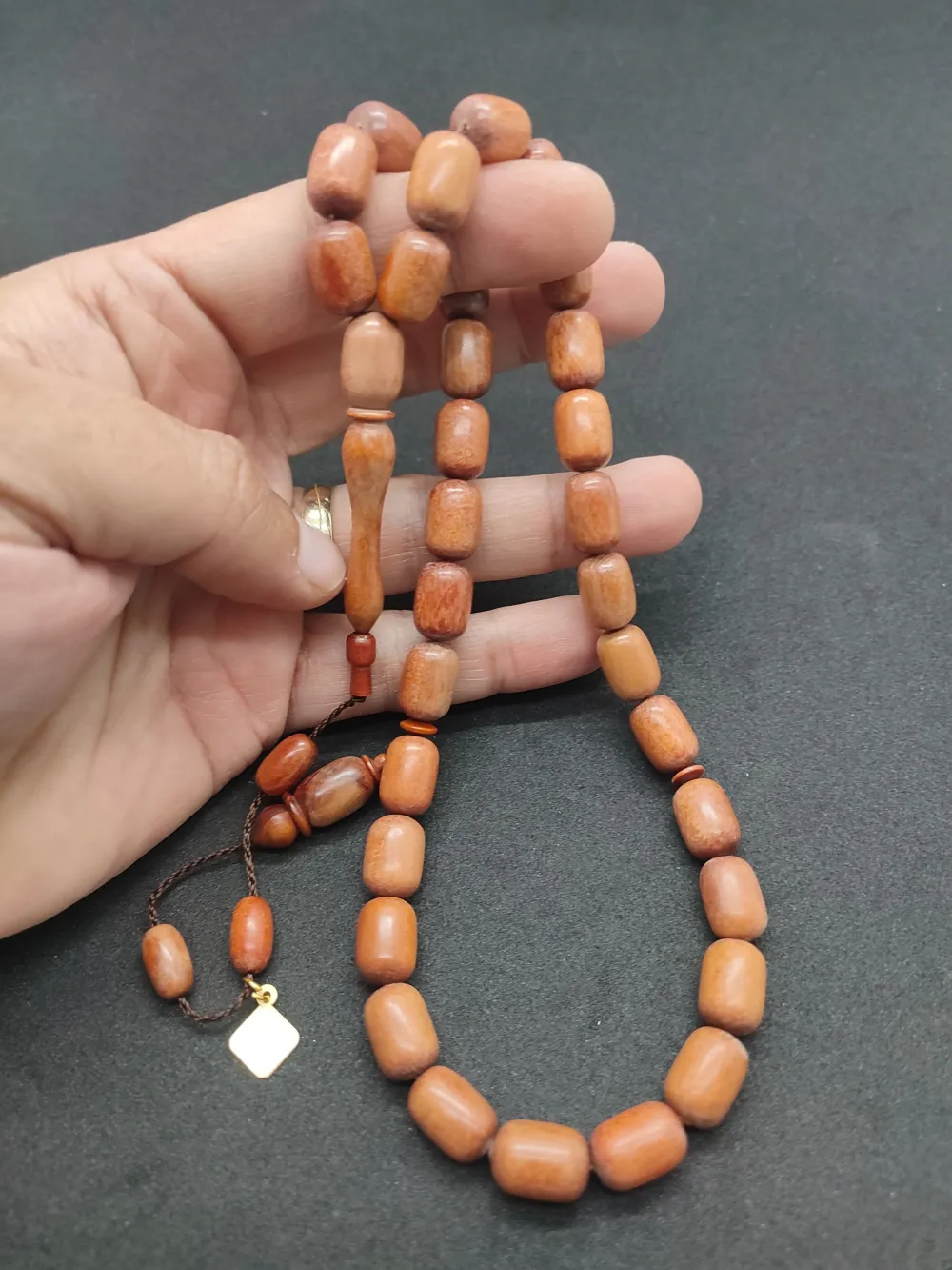 Hakan Kaya Uysa Eseri̇ Gergedan Ağaç Fosi̇li̇ 32 Gr. küçük resim 5