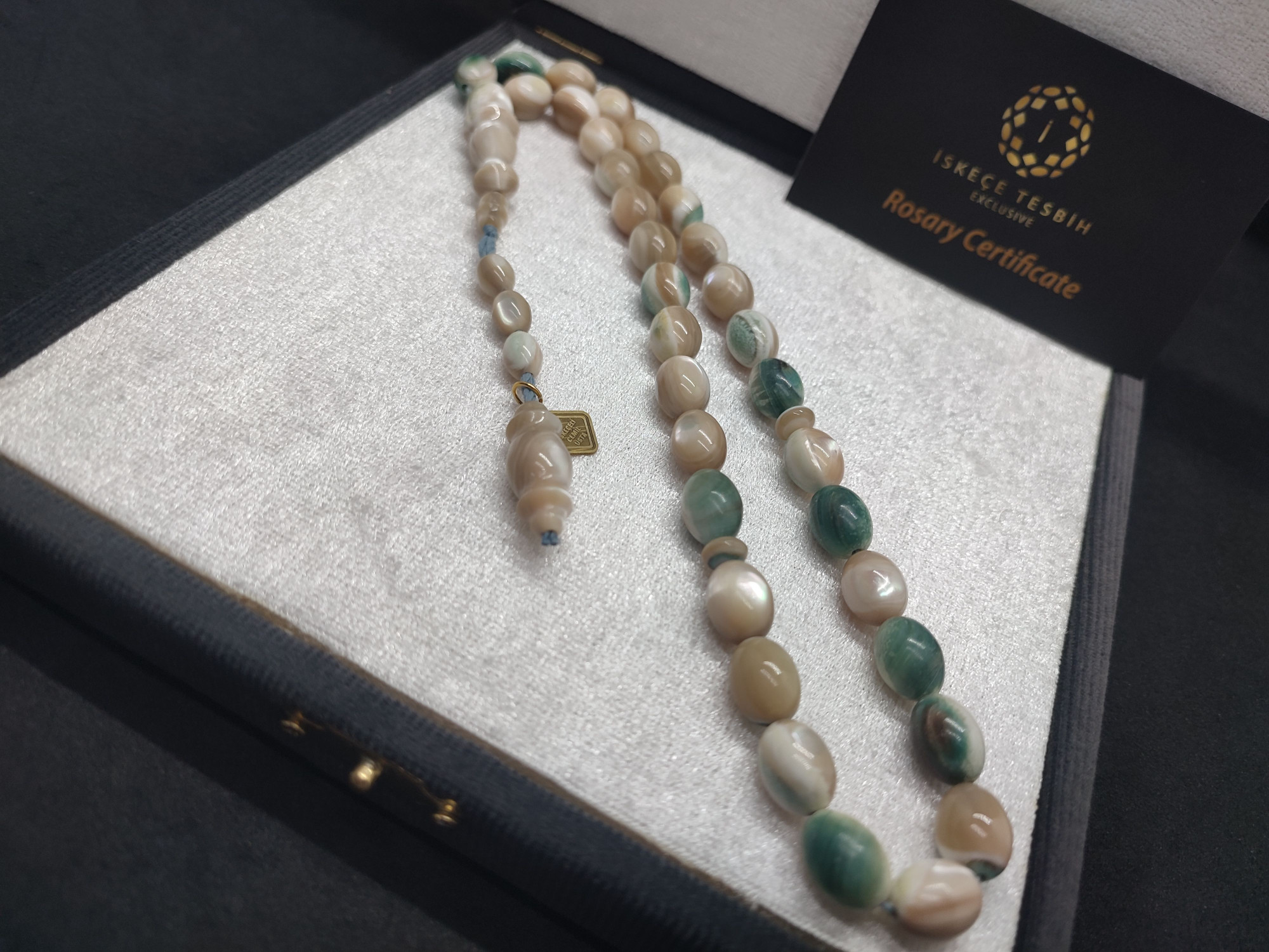 Başka Yerde Yok! İskeçeli Cemil Usta Eseri Bali Mavi Deniz Salyangoz Fosili 55.10 Gr.Sertifikalı 10079 küçük resim 3